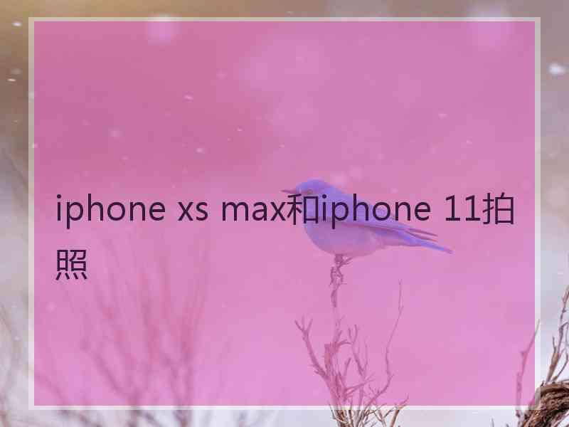 iphone xs max和iphone 11拍照