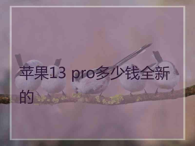 苹果13 pro多少钱全新的