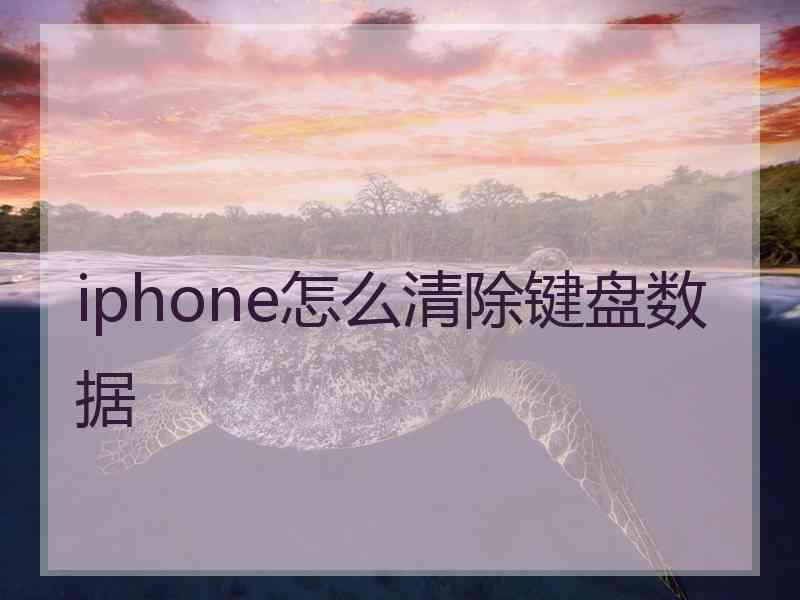 iphone怎么清除键盘数据