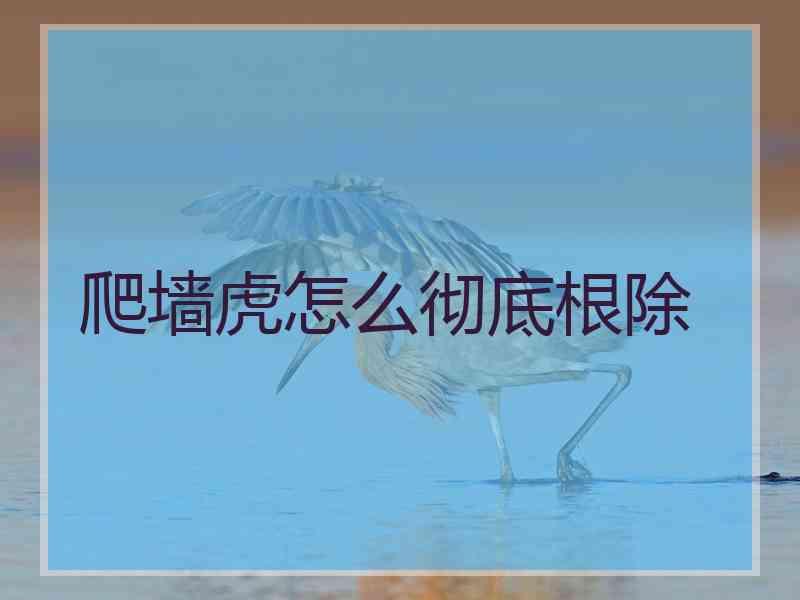 爬墙虎怎么彻底根除