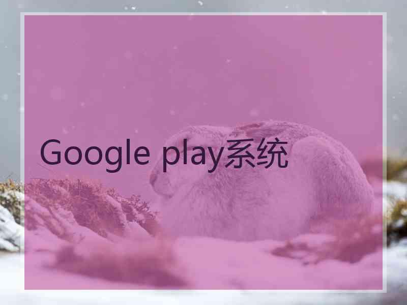 Google play系统