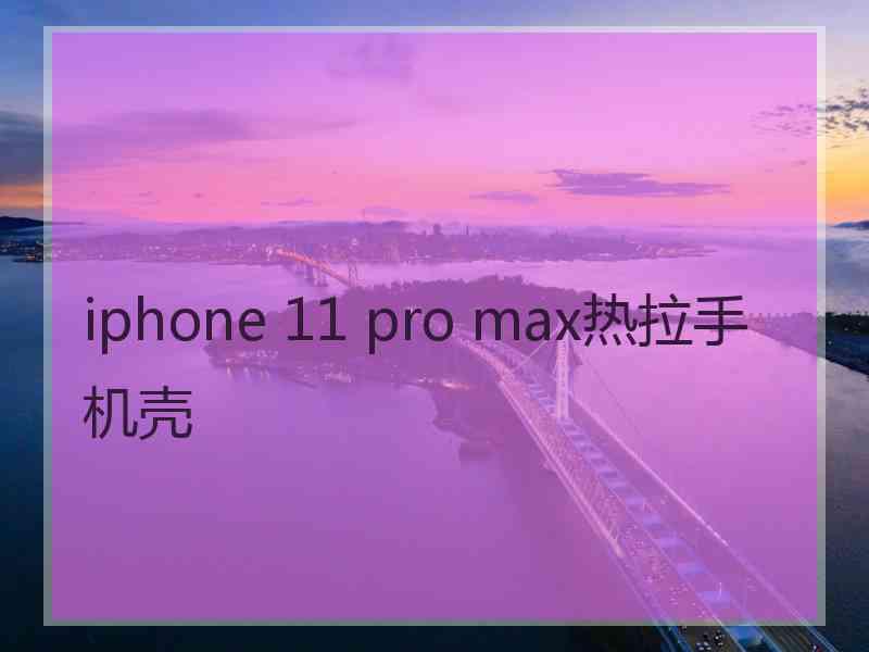 iphone 11 pro max热拉手机壳