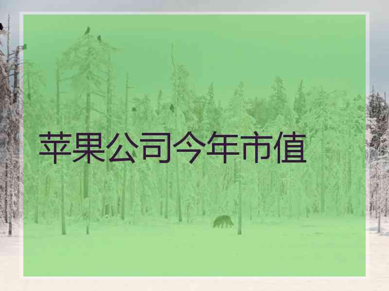 苹果公司今年市值