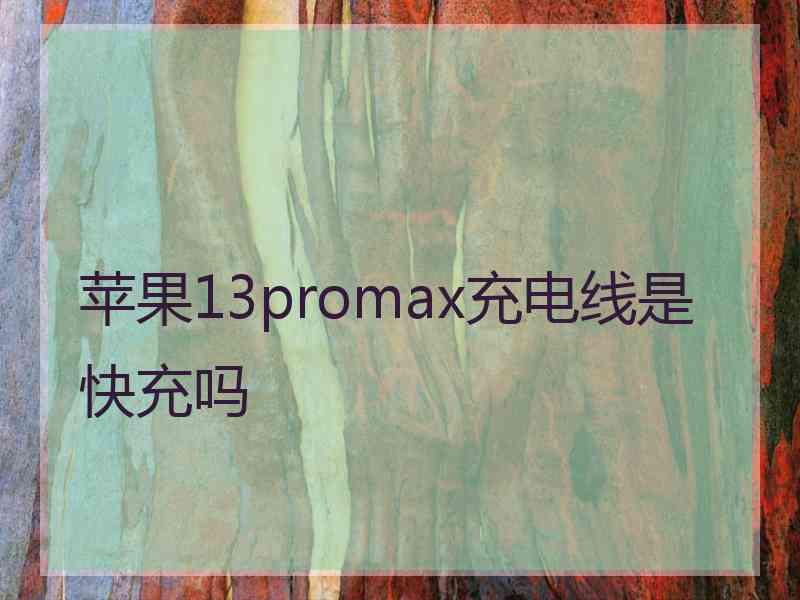 苹果13promax充电线是快充吗