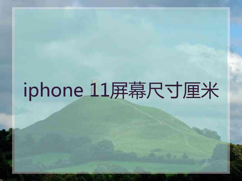 iphone 11屏幕尺寸厘米