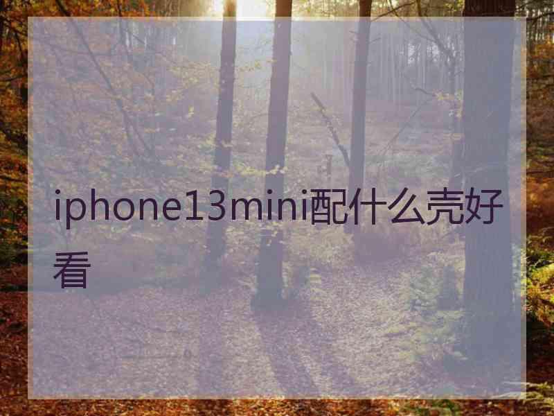 iphone13mini配什么壳好看