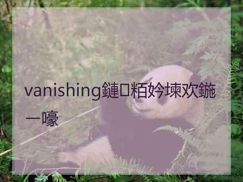 vanishing鏈粨妗堜欢鍦ㄧ嚎