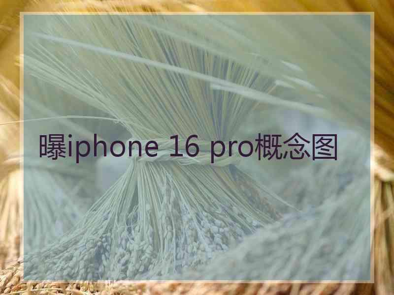 曝iphone 16 pro概念图