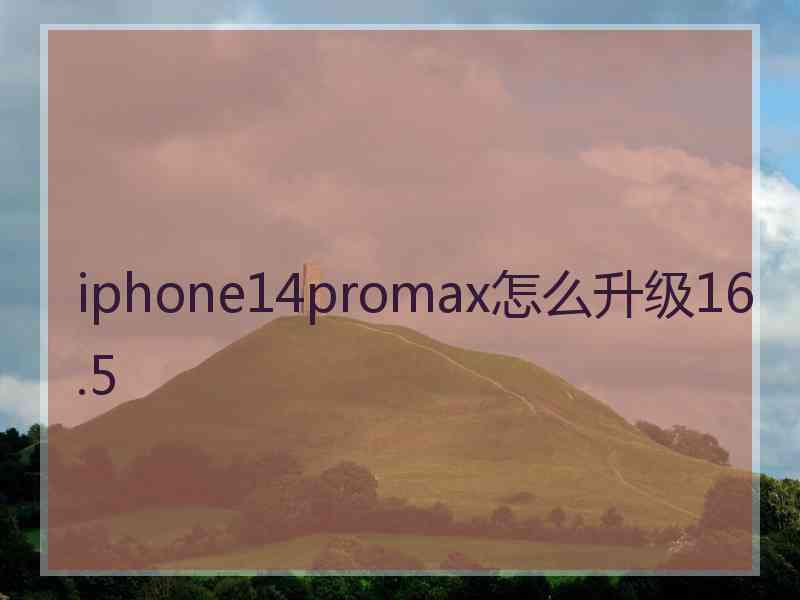 iphone14promax怎么升级16.5