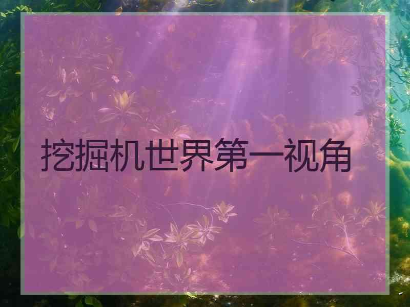 挖掘机世界第一视角