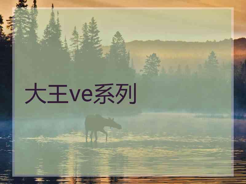 大王ve系列