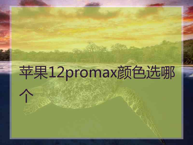 苹果12promax颜色选哪个