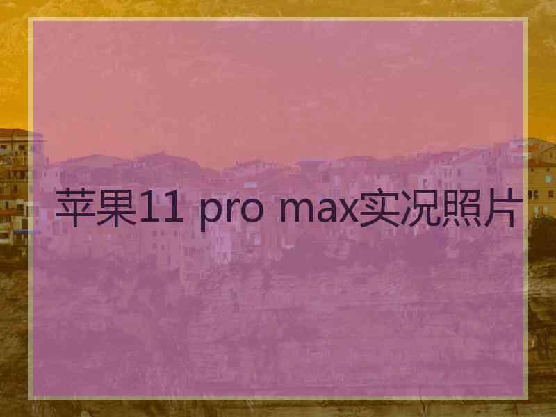 苹果11 pro max实况照片