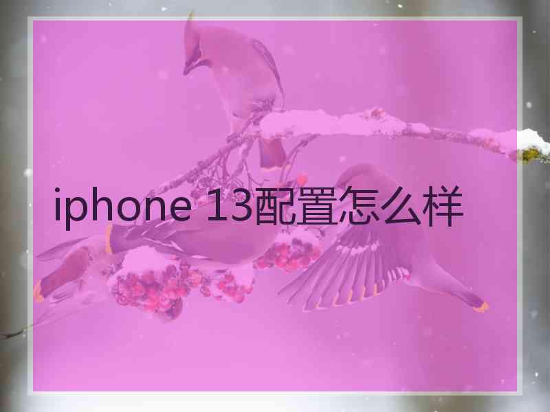 iphone 13配置怎么样