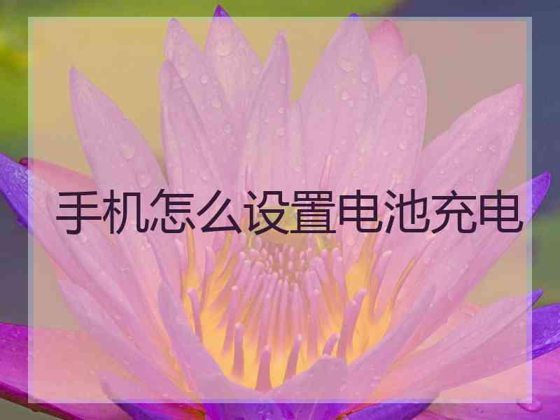 手机怎么设置电池充电