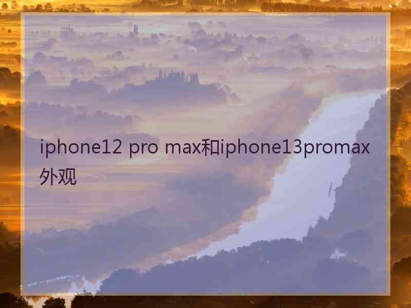 iphone12 pro max和iphone13promax外观