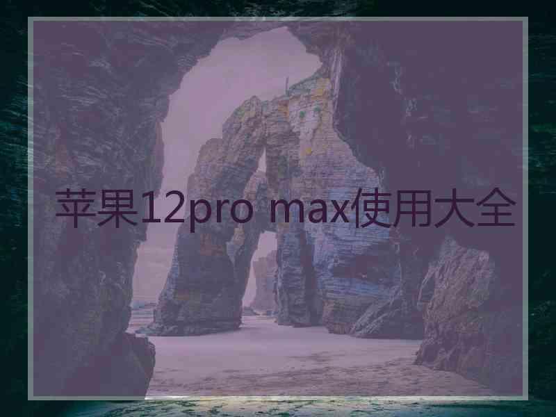 苹果12pro max使用大全