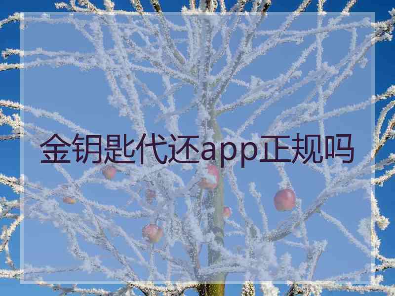 金钥匙代还app正规吗