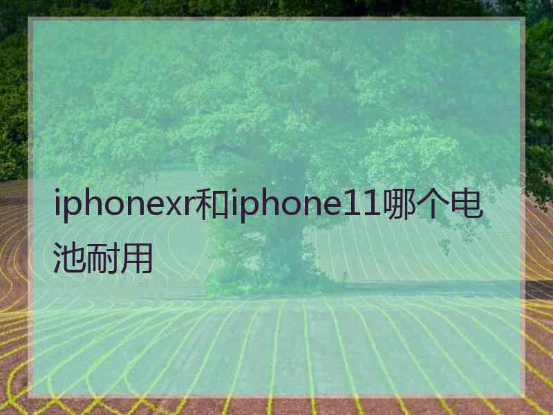 iphonexr和iphone11哪个电池耐用