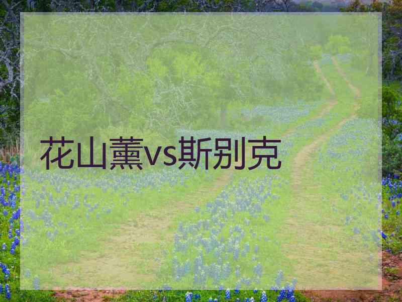 花山薰vs斯别克