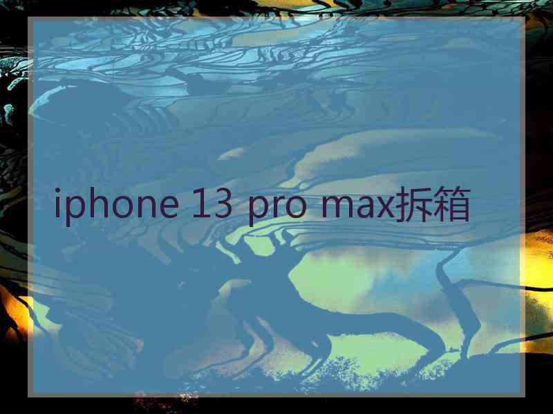 iphone 13 pro max拆箱