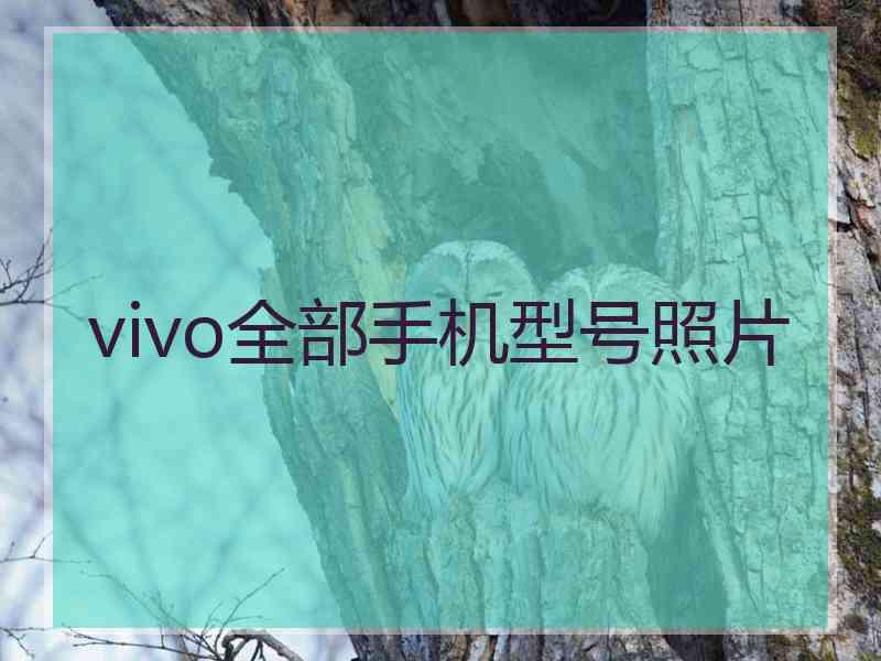 vivo全部手机型号照片