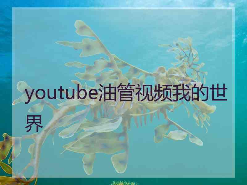 youtube油管视频我的世界