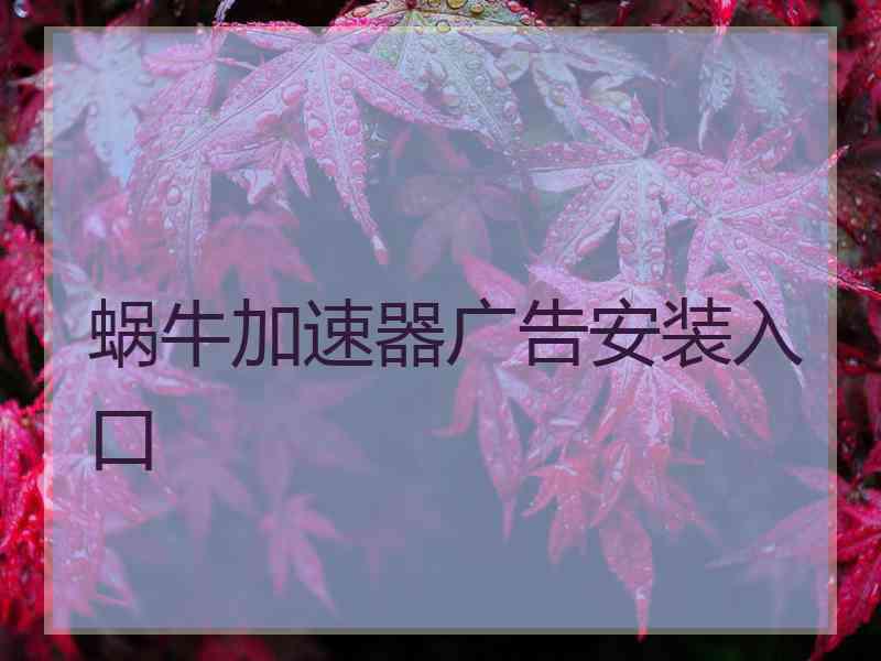 蜗牛加速器广告安装入口