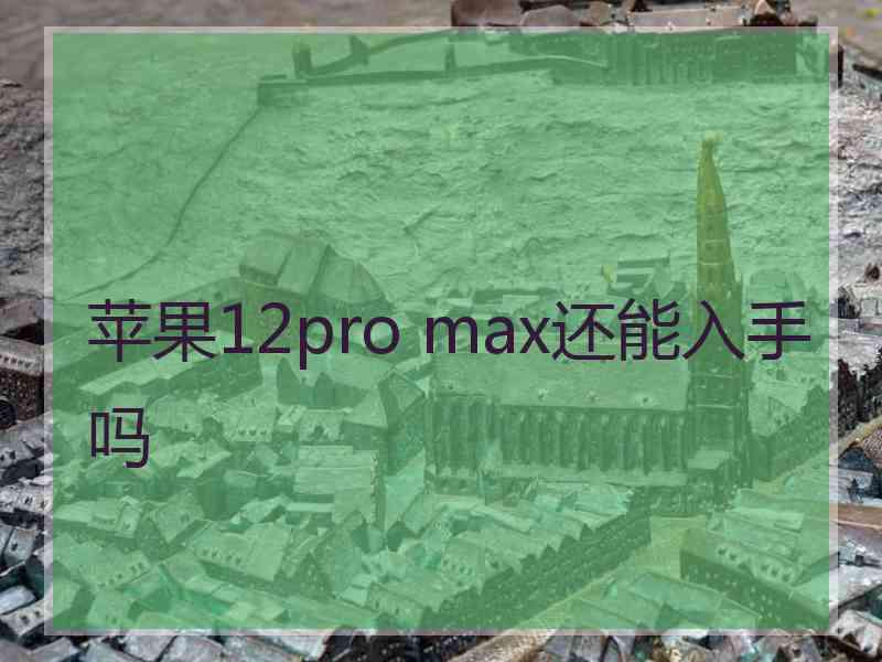 苹果12pro max还能入手吗