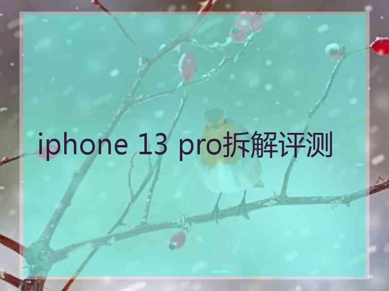 iphone 13 pro拆解评测