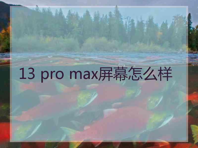 13 pro max屏幕怎么样