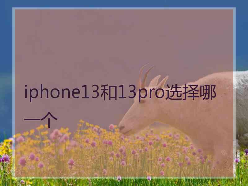 iphone13和13pro选择哪一个