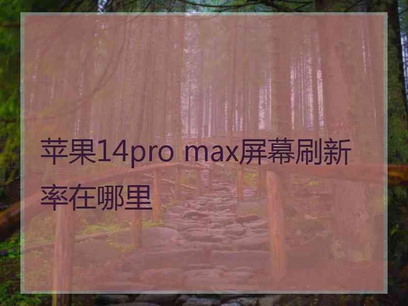 苹果14pro max屏幕刷新率在哪里