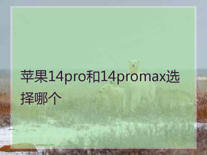 苹果14pro和14promax选择哪个