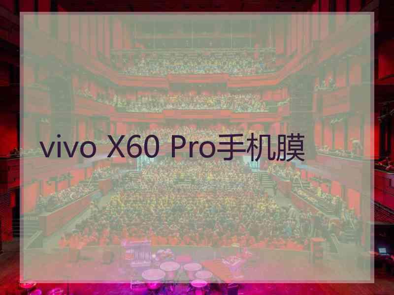 vivo X60 Pro手机膜