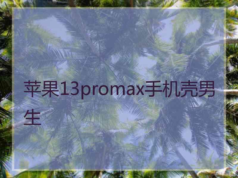 苹果13promax手机壳男生