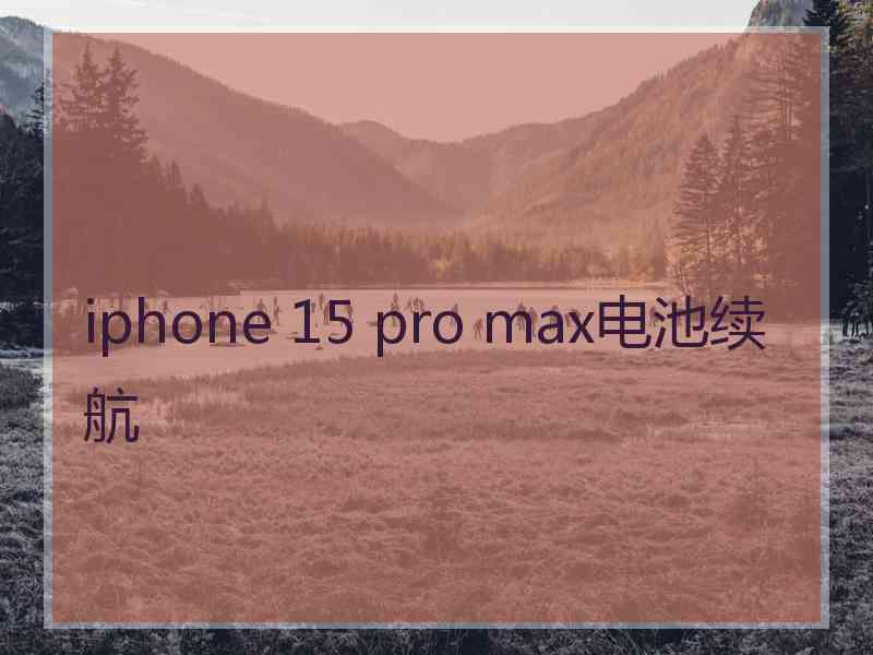 iphone 15 pro max电池续航