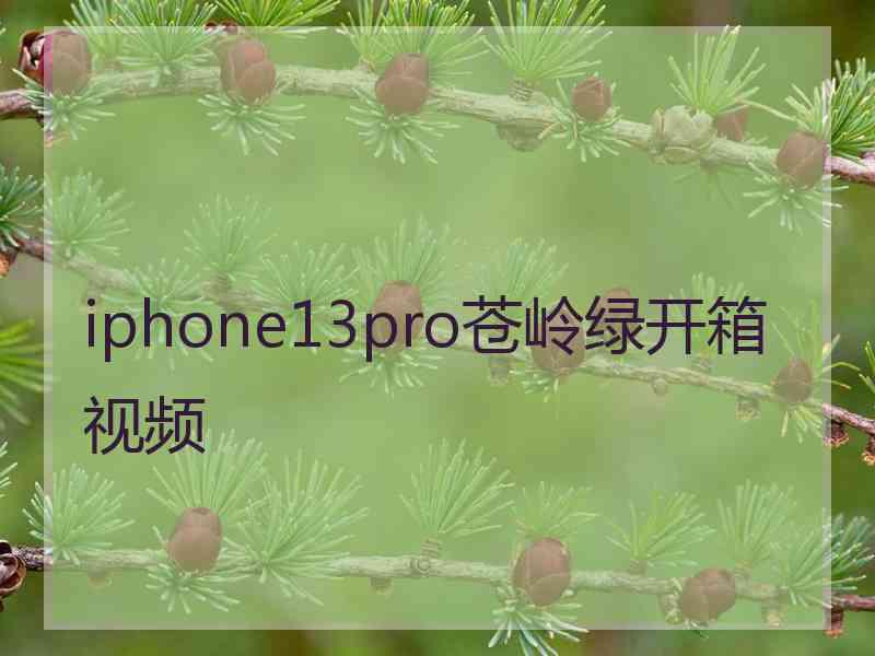 iphone13pro苍岭绿开箱视频