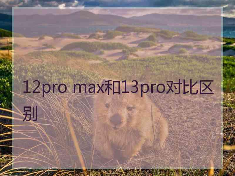 12pro max和13pro对比区别