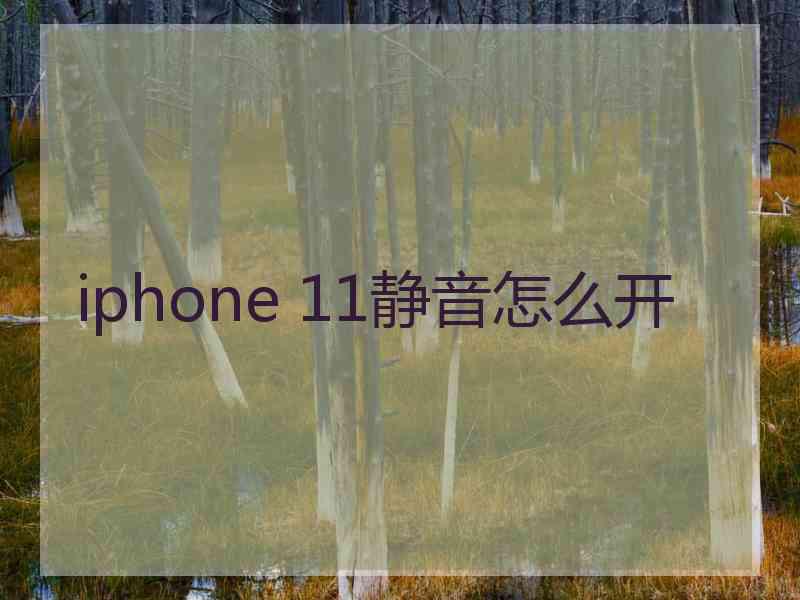 iphone 11静音怎么开