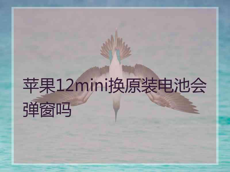 苹果12mini换原装电池会弹窗吗