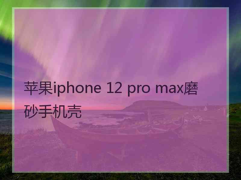 苹果iphone 12 pro max磨砂手机壳