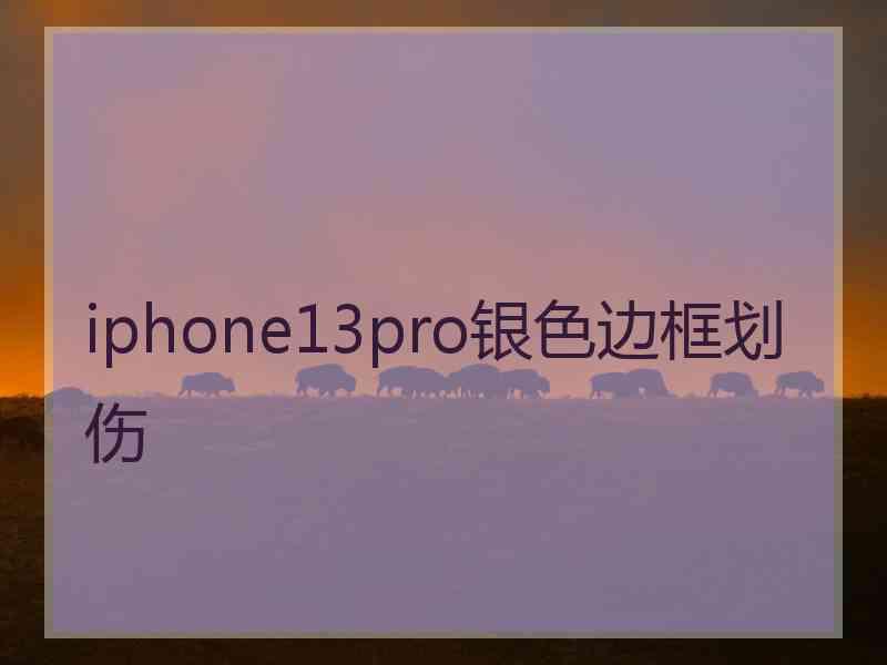 iphone13pro银色边框划伤