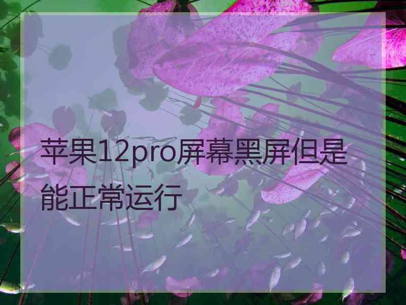 苹果12pro屏幕黑屏但是能正常运行