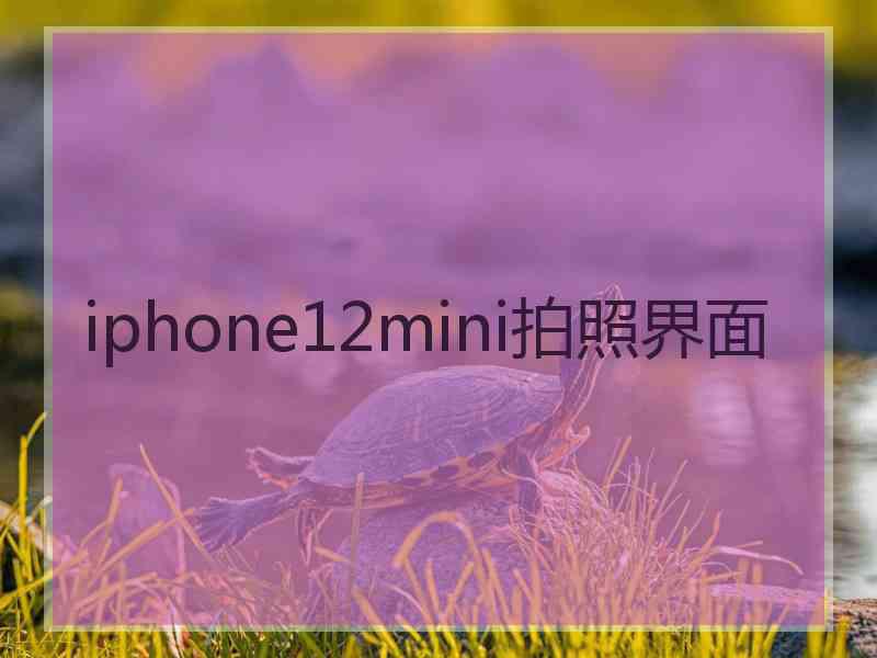 iphone12mini拍照界面