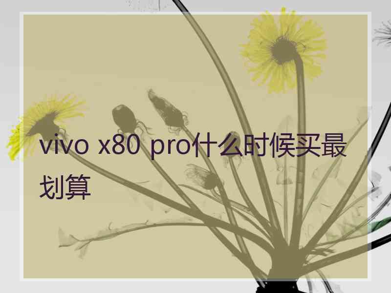 vivo x80 pro什么时候买最划算