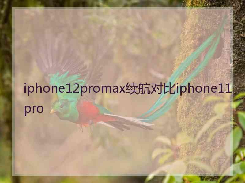 iphone12promax续航对比iphone11pro