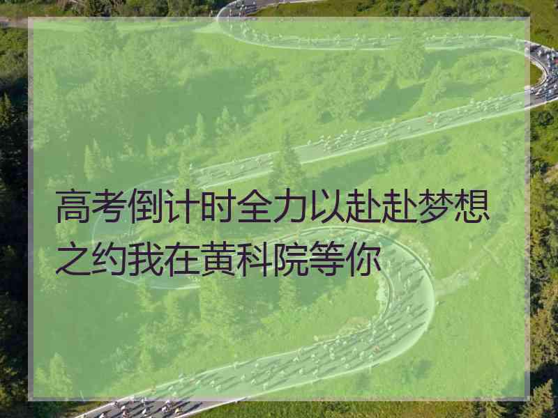 高考倒计时全力以赴赴梦想之约我在黄科院等你