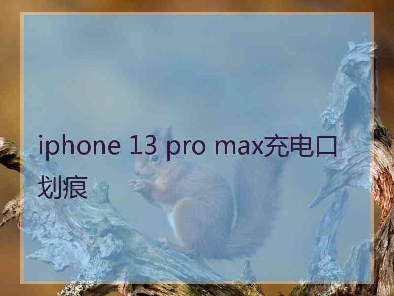 iphone 13 pro max充电口划痕