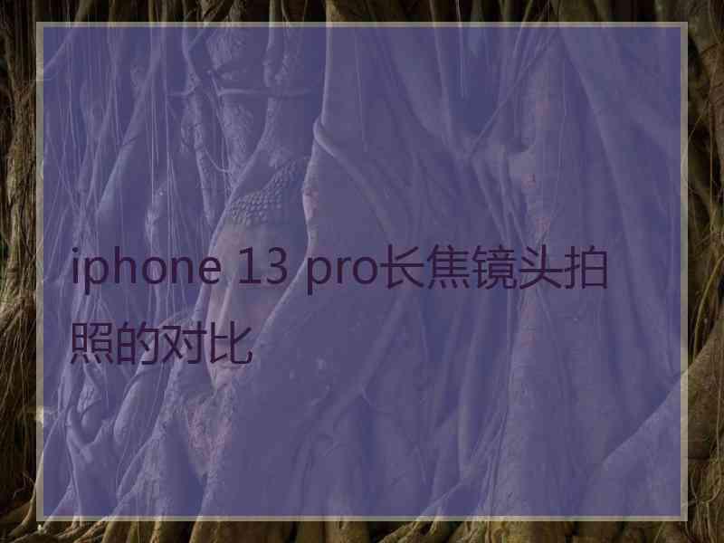 iphone 13 pro长焦镜头拍照的对比